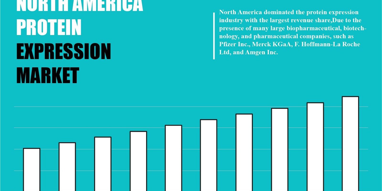 North America Protein Expression Market