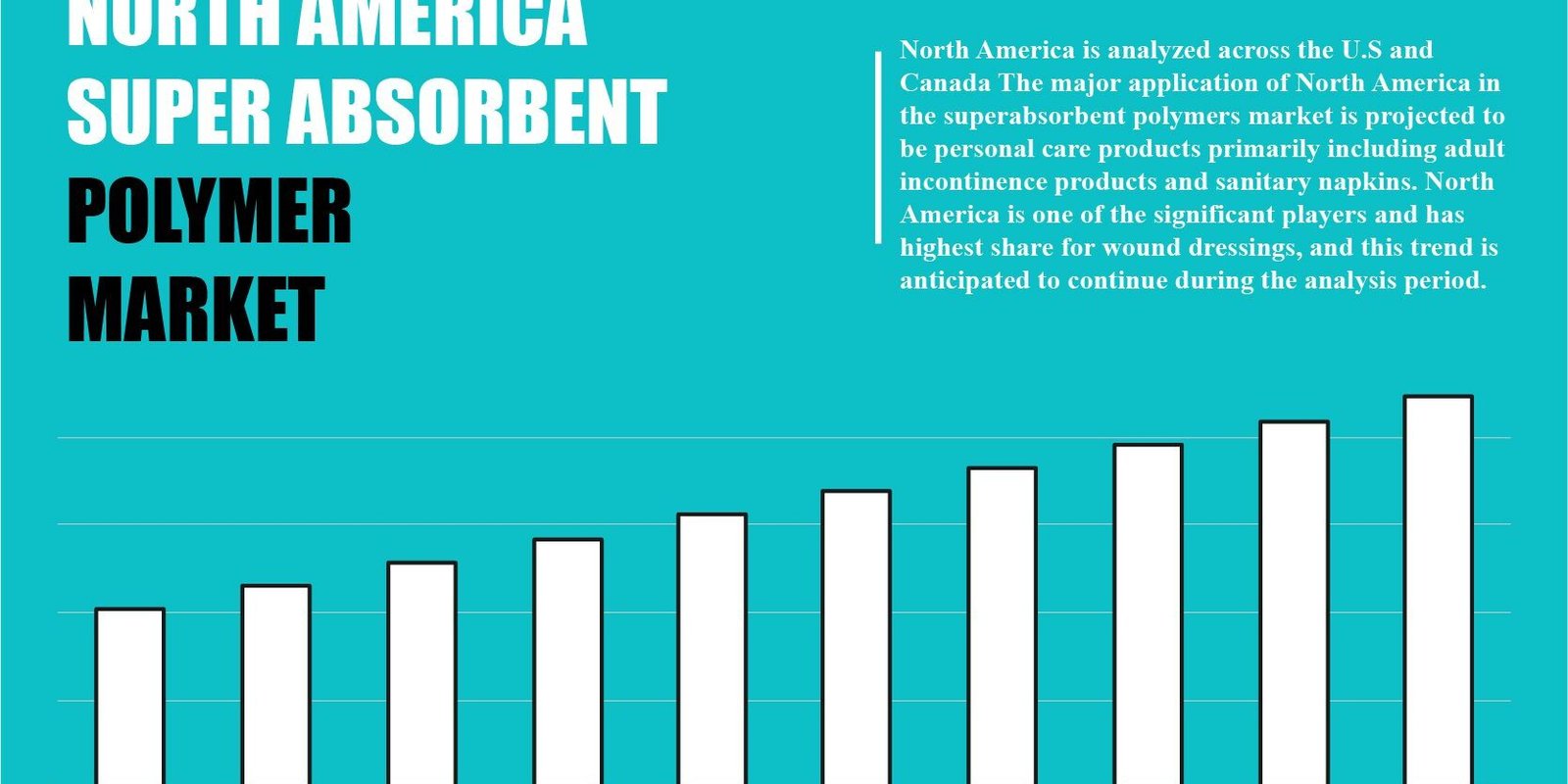 north america super absorbent polymer (sap) market north america super absorbent polymer (sap) market