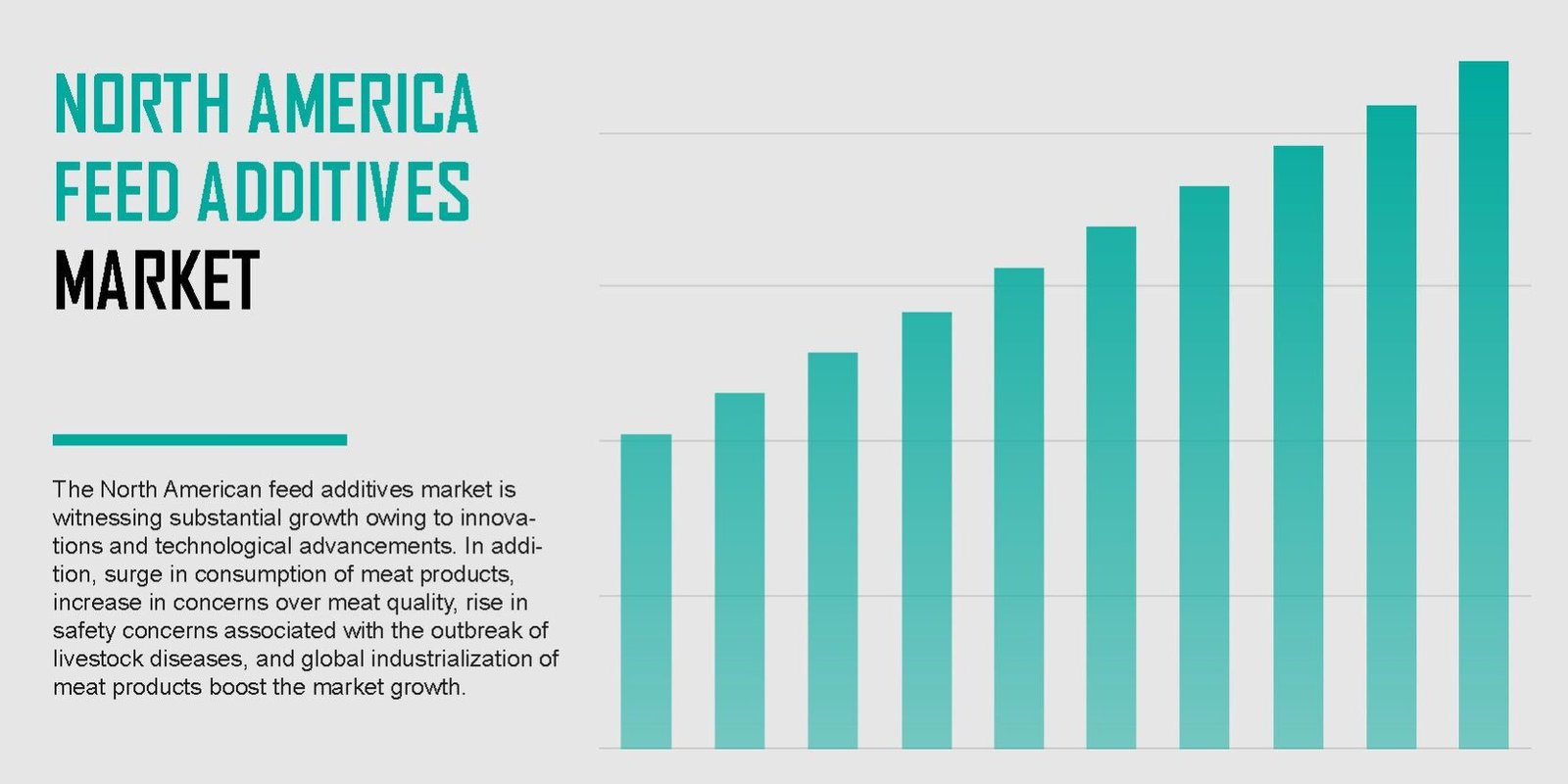 north-america-feed-additives-market