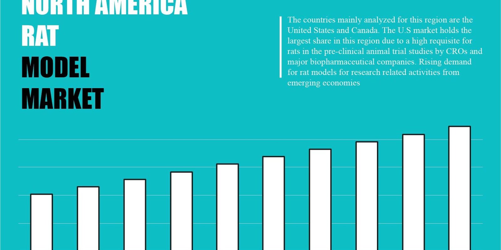 north-america-robotic-process-automation-in-information-technology-market