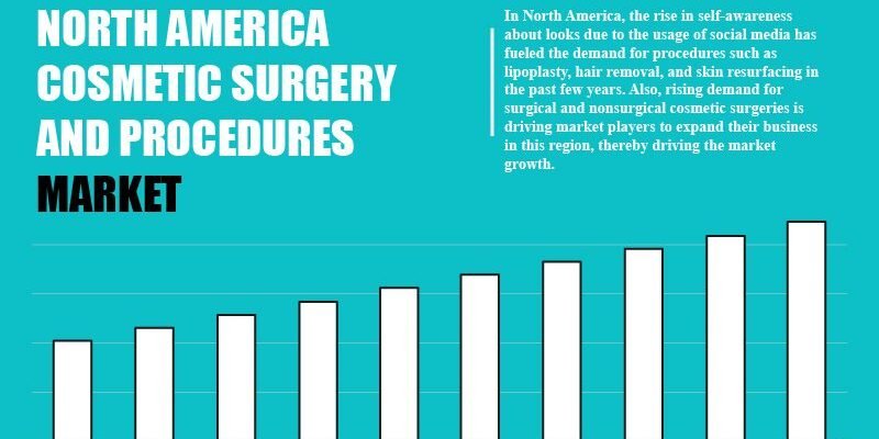 north-america-cosmetic-surgery-and-procedure-market north-america-cosmetic-surgery-and-procedure-market