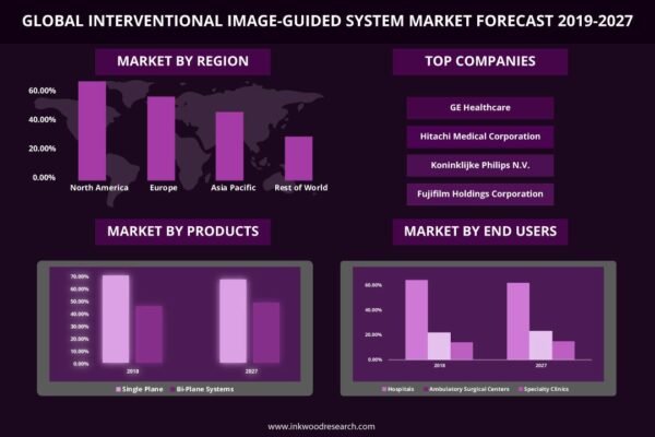 Interventional Image-Guided System Market