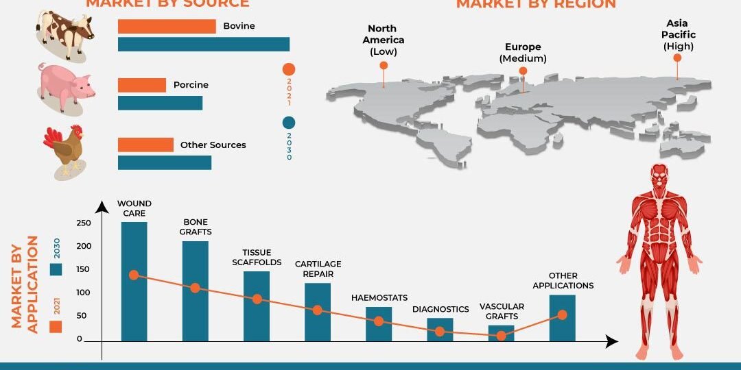 Medical Collagen Market Medical Collagen Market