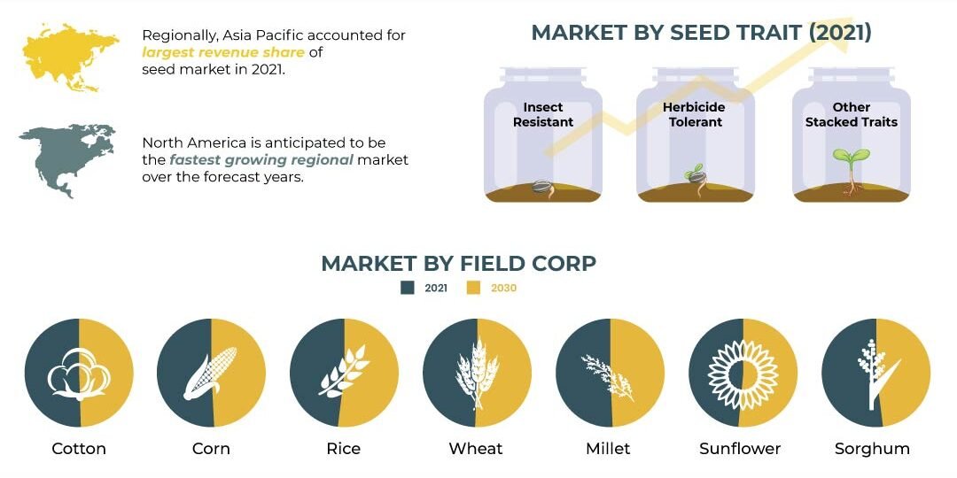 Seed Market Seed Market