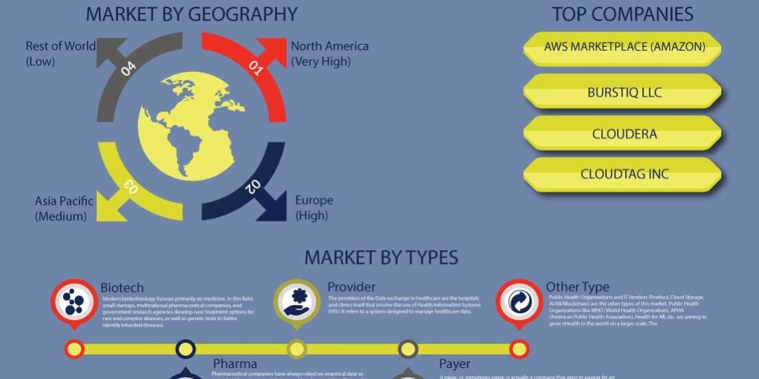 Data Exchange In Healthcare Market 2030