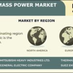 GLOBAL BIOMASS POWER MARKET FORECAST 2024-2032