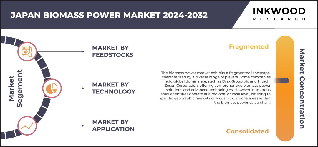japan-biomass-power-market-size