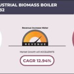 COSTA RICA INDUSTRIAL BIOMASS BOILER MARKET FORECAST 2025-2032