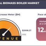 INDIA INDUSTRIAL BIOMASS BOILER MARKET FORECAST 2025-2032