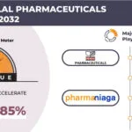 MALAYSIA HALAL PHARMACEUTICALS MARKET FORECAST 2025-2032