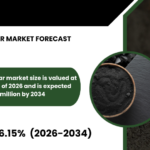 CHINA BIOCHAR MARKET FORECAST 2026-2034