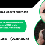 GLOBAL BIOCHAR MARKET FORECAST 2026-2034