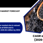 KENYA BIOCHAR MARKET FORECAST 2026-2034
