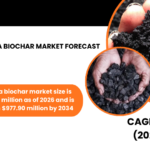 NORTH AMERICA BIOCHAR MARKET FORECAST 2026-2034