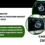 UNITED ARAB EMIRATES CARDIOVASCULAR ULTRASOUND MARKET FORECAST 2026-2034