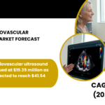 VIETNAM CARDIOVASCULAR ULTRASOUND MARKET FORECAST 2026-2034