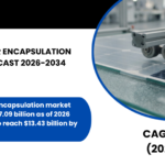 GLOBAL SOLAR ENCAPSULATION MARKET FORECAST 2026-2034